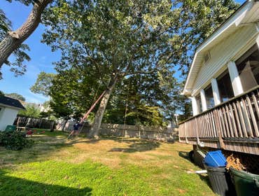 Photos by American Pride Tree Experts & Landscaping Inc #42