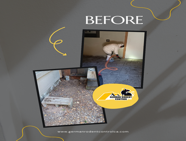 Photos by German Rodent Control #16