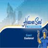 Heaven Sent Roofing logo