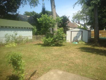 Backyard cleanup