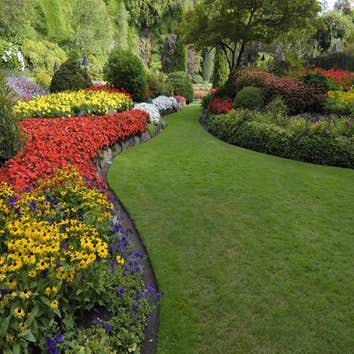 Lawn Care