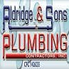 Aldridge & Sons Plumbing Contractors Inc logo