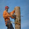 Wichita Tree Service Pros logo