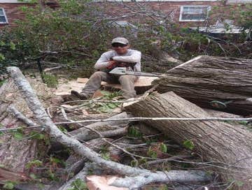 Photos by Don Cele Landscaping #1