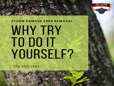 We Care Tree Services Looking for complete tree service. From tree removal to land clearing – We Care Tree Service can handle all of your tree service 