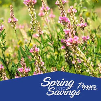 Pepper Air Conditioning & Heating