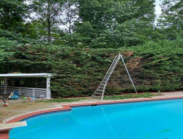 Photos by Bautista Landscaping LLC #7