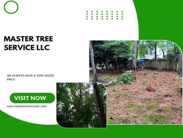 Photos by Master Tree Service LLC #8