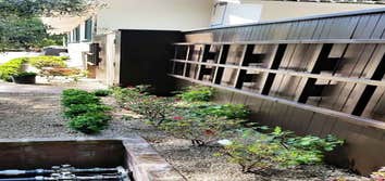 Photos from Hidalgo's Gardening Service