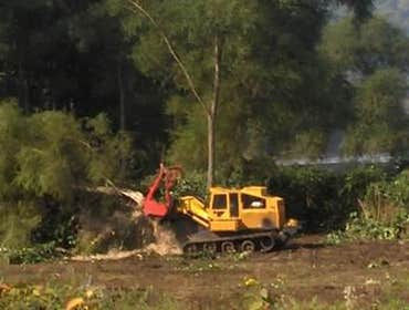 Tree & ROW Equipment