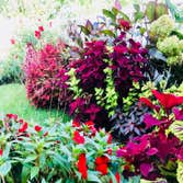 Photos by Landscape Therapy LLC #1