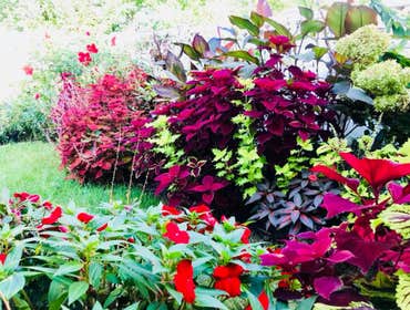 Photos by Landscape Therapy LLC #1