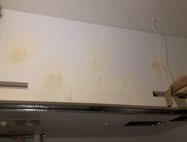 Photos by Benavides Improvements LLC #1