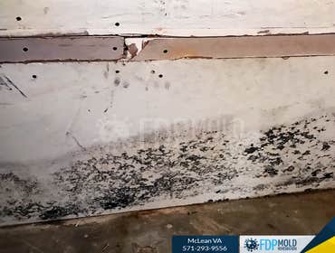 Photos by FDP Mold Remediation of McLean #1