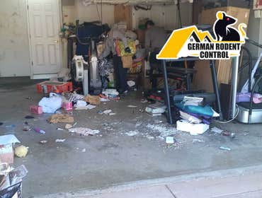 Photos by German Rodent Control #18