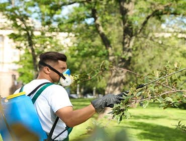 Photos by Gate City Tree Service #1