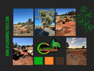 Photos by A+ Ramirez Tree Service #2