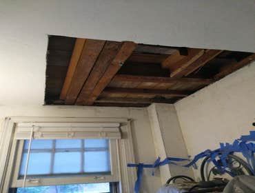 Photos by Silverback Painting Solutions #1