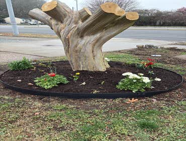 Photos by Beauty Meister Landscaping LLC #2
