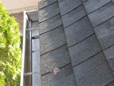 Photo(s) from High Quality Home Maintenance