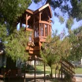 kern county museum treehouse