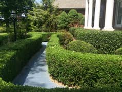 Photos by Don Cele Landscaping #1