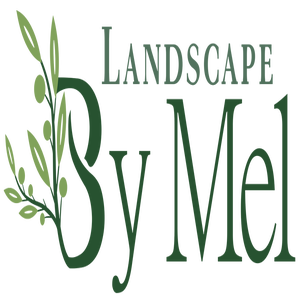 Landscape by Mel