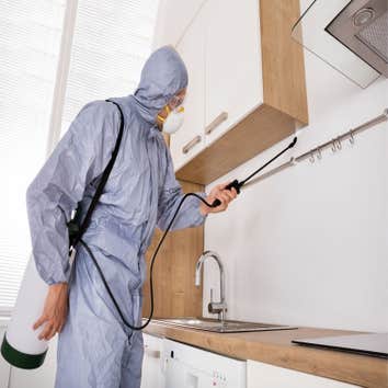 Photos by Evergreen City Termite Removal Experts #2