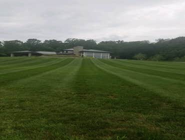 Photos by Amigos Lawn Care & Tree Service #1