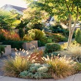 Photos by Lopez Brothers Yard Service LLC #1