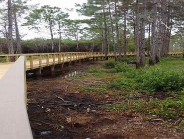 Photos from Rj Gorman Marine Construction
