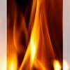 Newtown Fireplace Shop logo