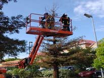 Photos by Ogarrio Construction #1