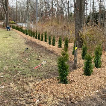 Photos by Ortez Construction & Tree Services Inc #1