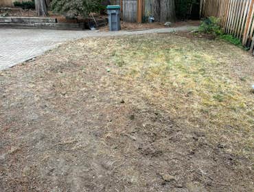 Photos by Magical Forest General Contractor & Landscaping LLC #1