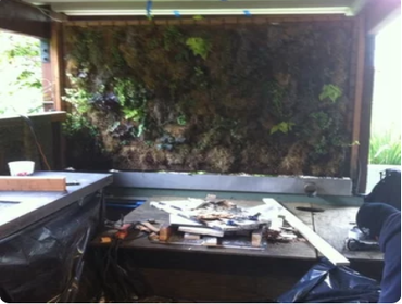 Redwood Concrete Outdoor Kitchen