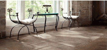 Carpet and Area Rug