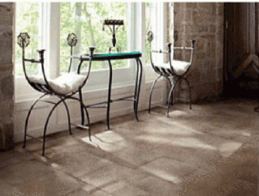 Carpet and Area Rug