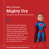 Photos by Mighty Dry Fire and Flood #1