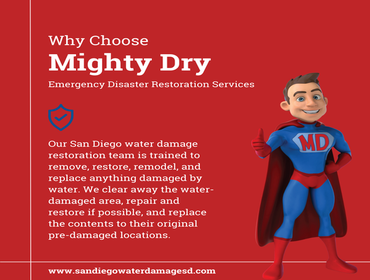 Photos by Mighty Dry Fire and Flood #1