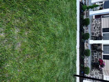 Photos by Madlandscape #9 Build a perfect garden out front bear dirt. for this customer with lighting and bushes and flowers.