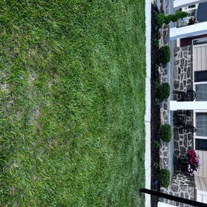 Photos by Madlandscape #9 Build a perfect garden out front bear dirt. for this customer with lighting and bushes and flowers.
