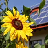 El Paso Solar Panel