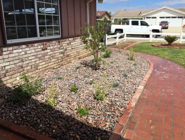 Photos from Marroquin S Landscaping & Maintenance Services Inc