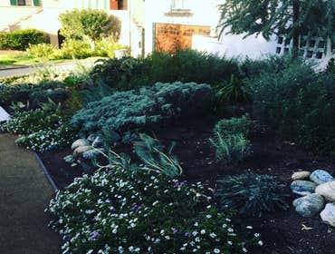 Photos by Garden Green Landscaping Inc #1