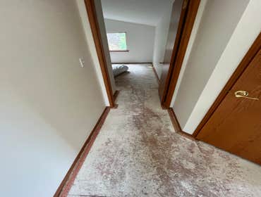 Photos by Gus's Premium Carpets Inc #1
