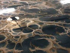 Photos by Flo Real Epoxy Systems #1 Various