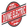 Divine Electric logo