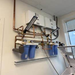 Dalmatian plumbing