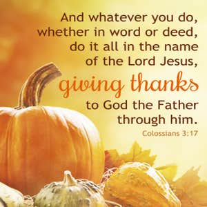 Photos by Azm Quality Construction #14